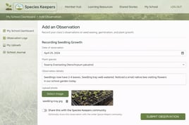ChatGPT Web Portal Mock Up