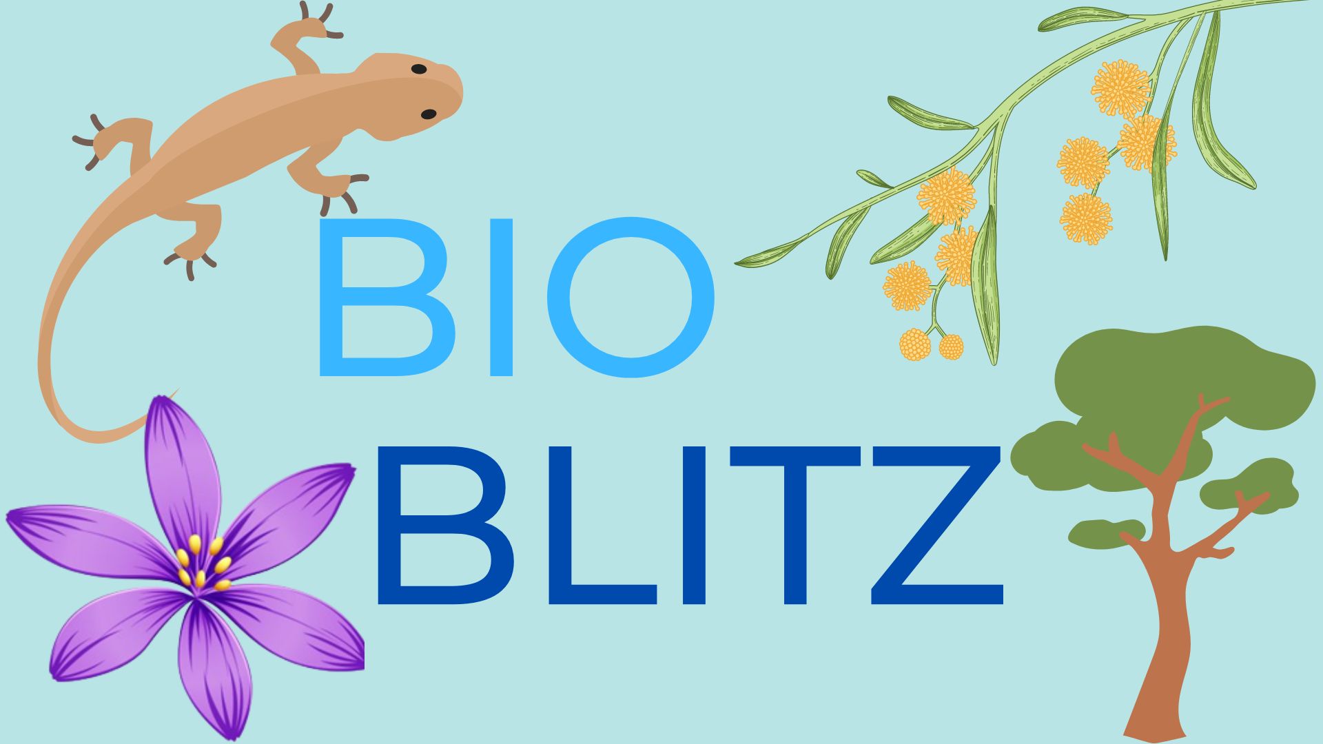 BIOBLITZ Generic