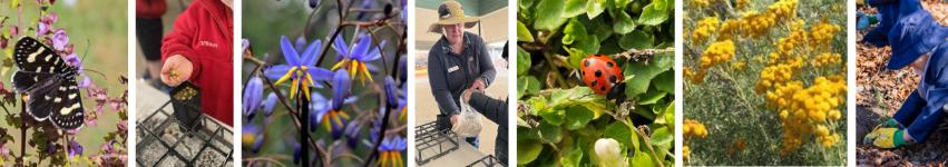 Species Keepers Divider Image 2