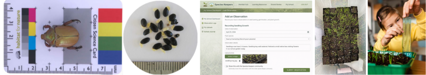 Species Keepers Divider Image